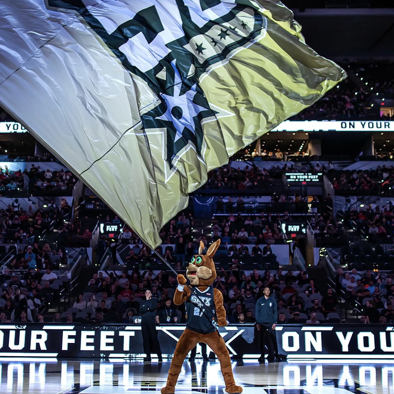 迷看到弗拉 迷看到弗拉